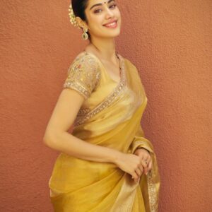Heritage Patola Silk Saree — Double Ikat Red & Blue